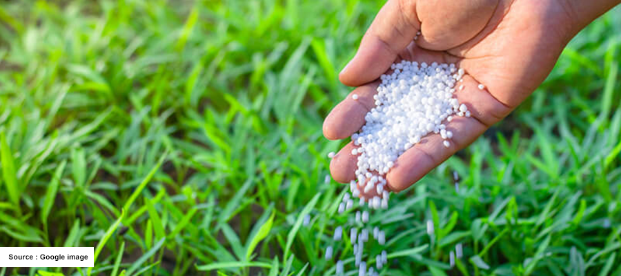 Chemical Fertilizers