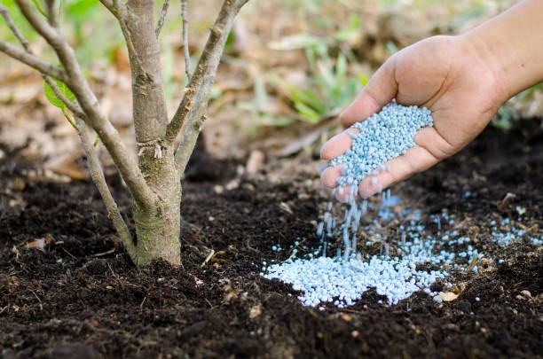 Nitrogen Fertilizers