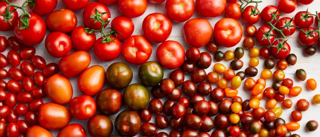 Tomatoes
